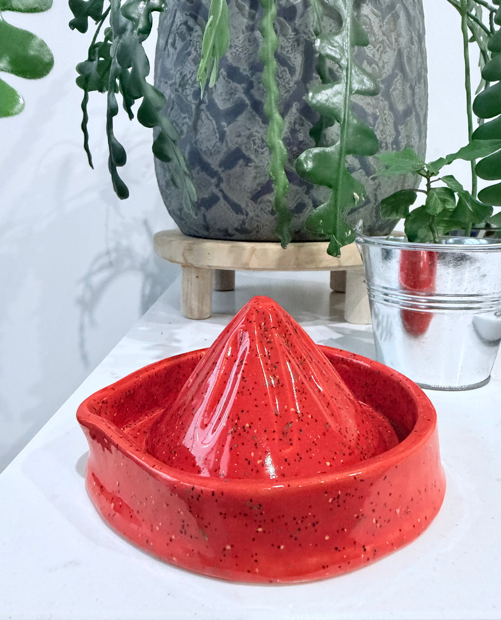 Citrus juicer