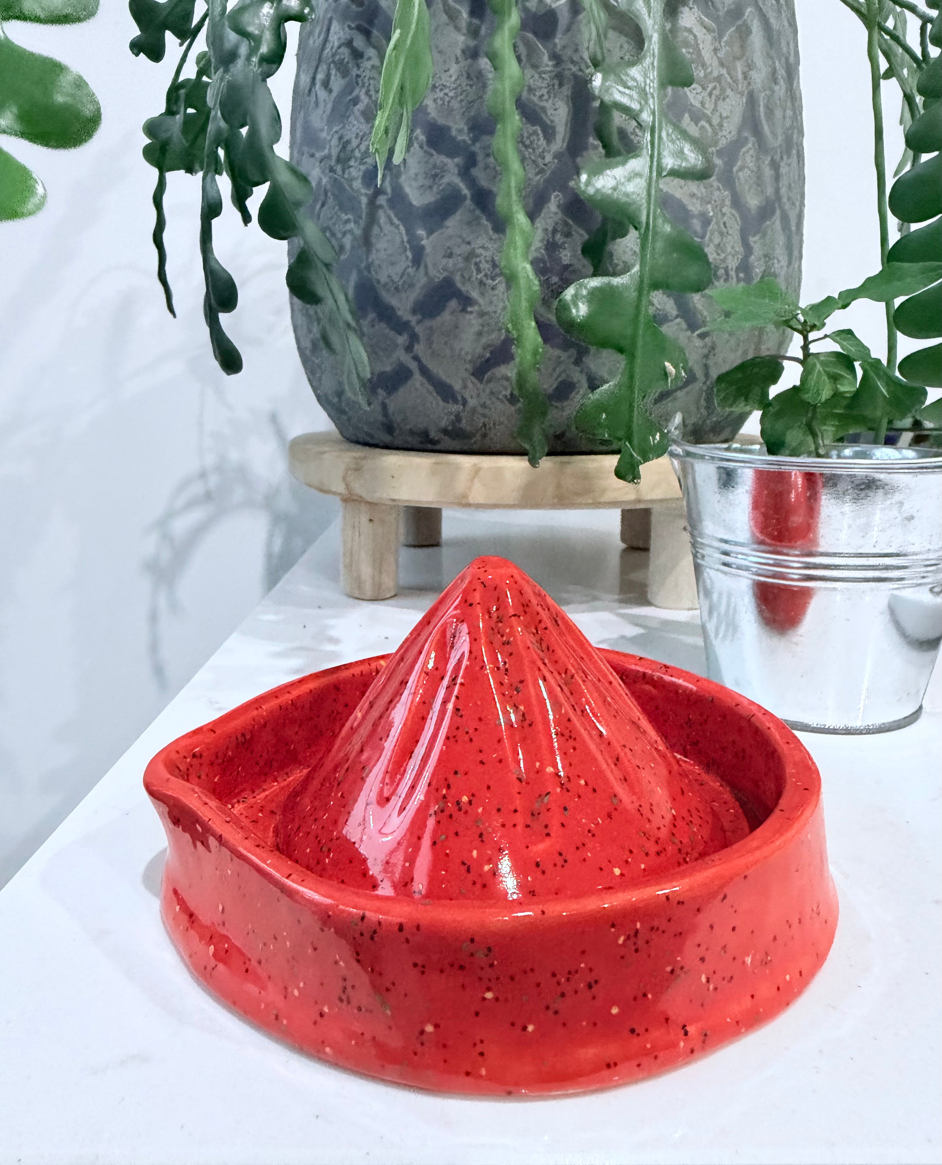 Citrus juicer