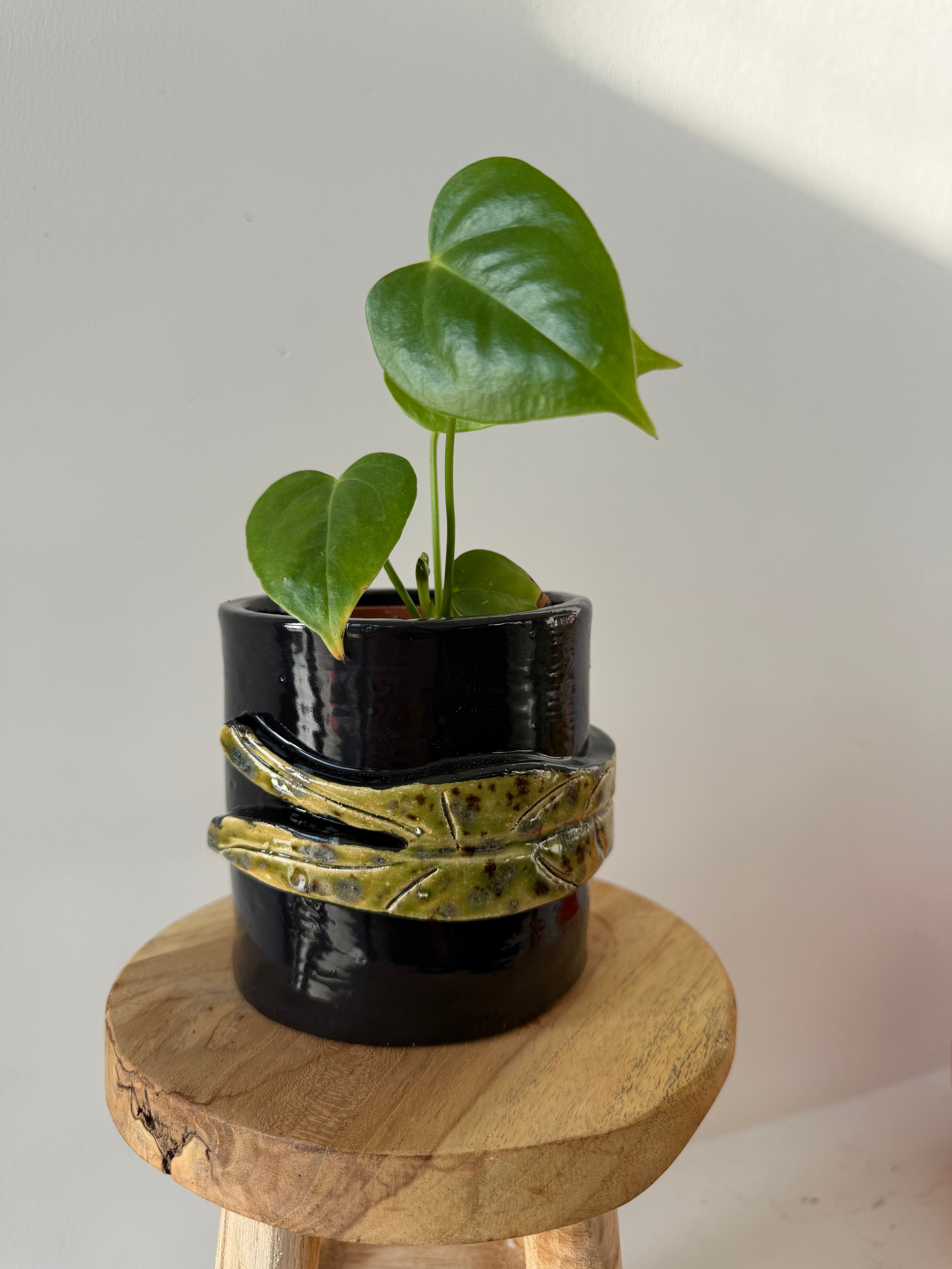 Handmade ceramic pot