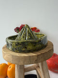 Citrus juicer