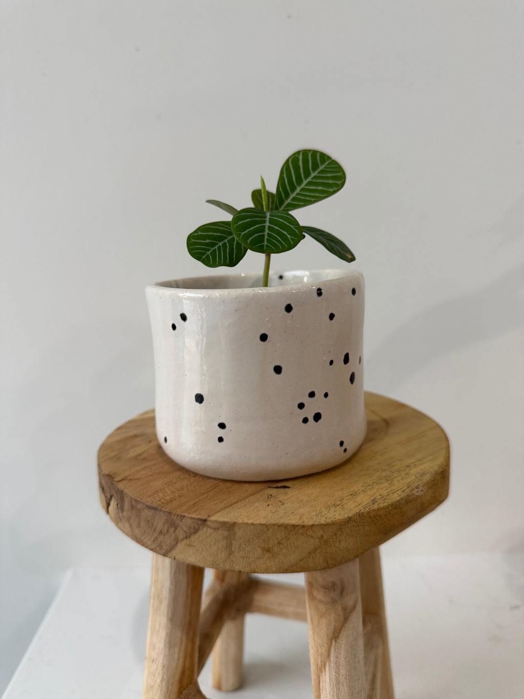 Handmade ceramic pot