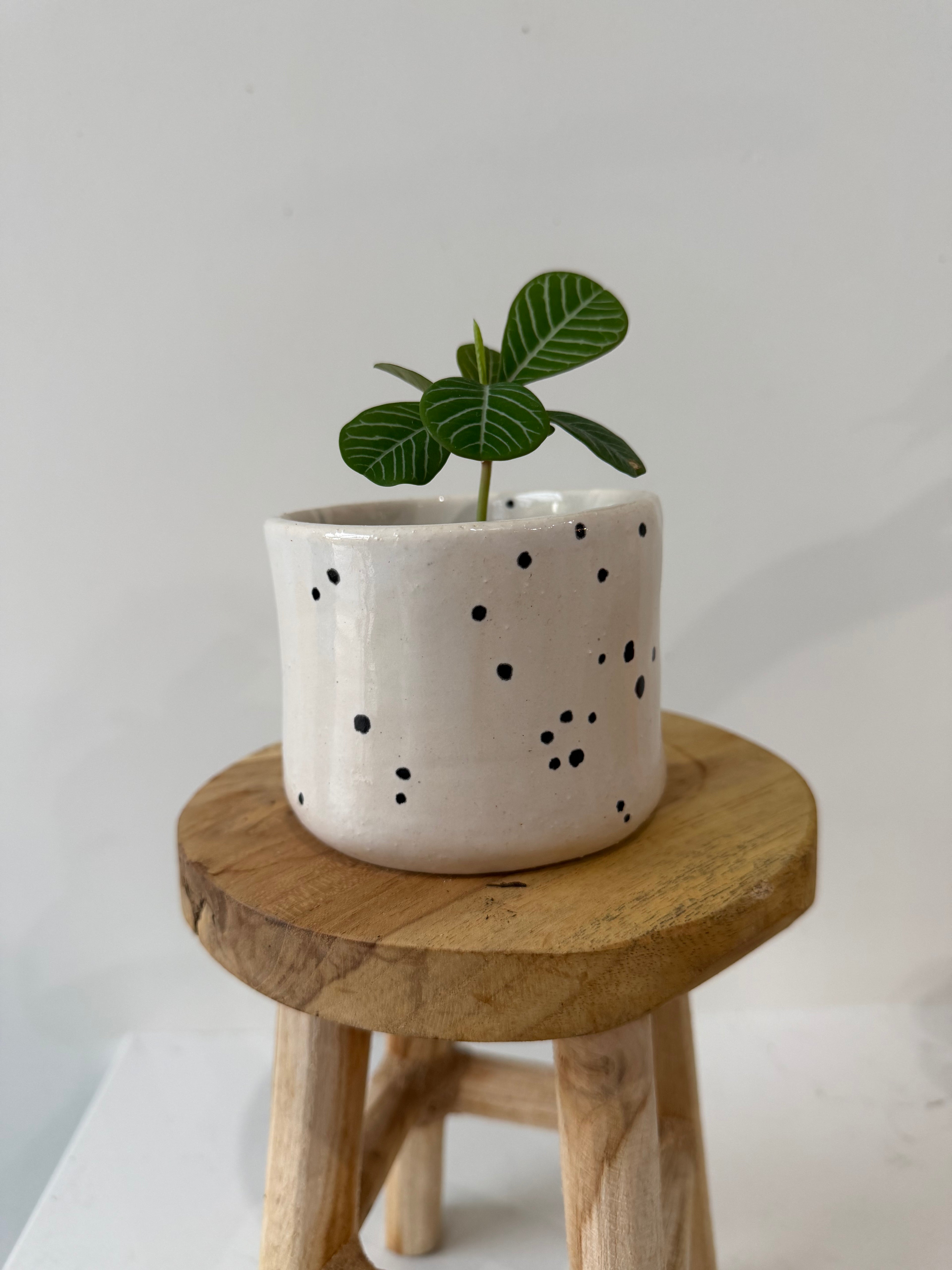 Handmade ceramic pot