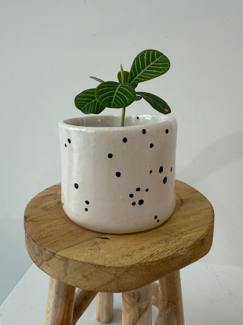 Handmade ceramic pot