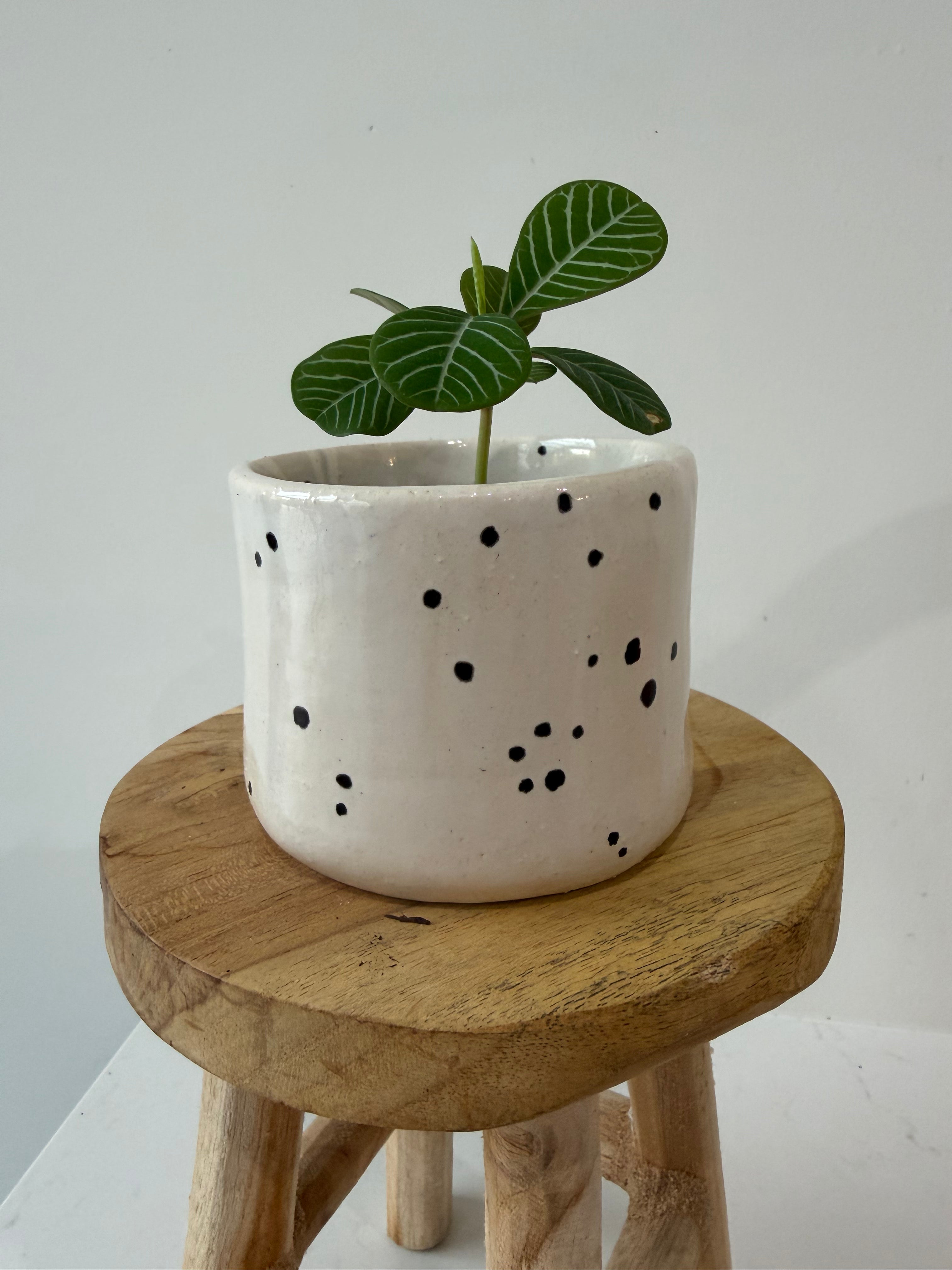 Handmade ceramic pot