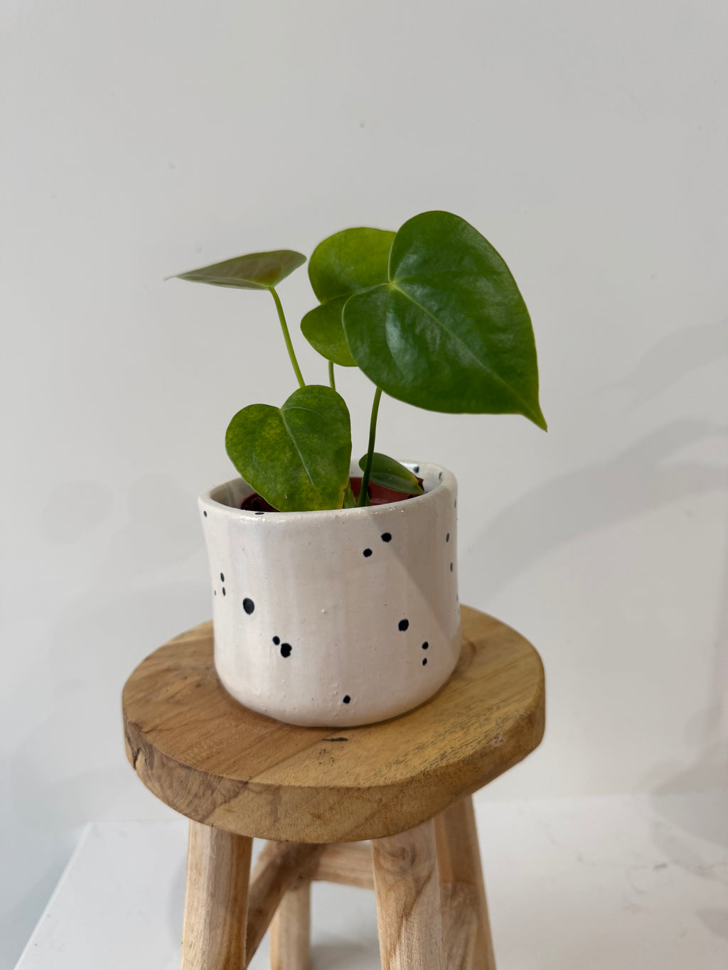 Handmade ceramic pot
