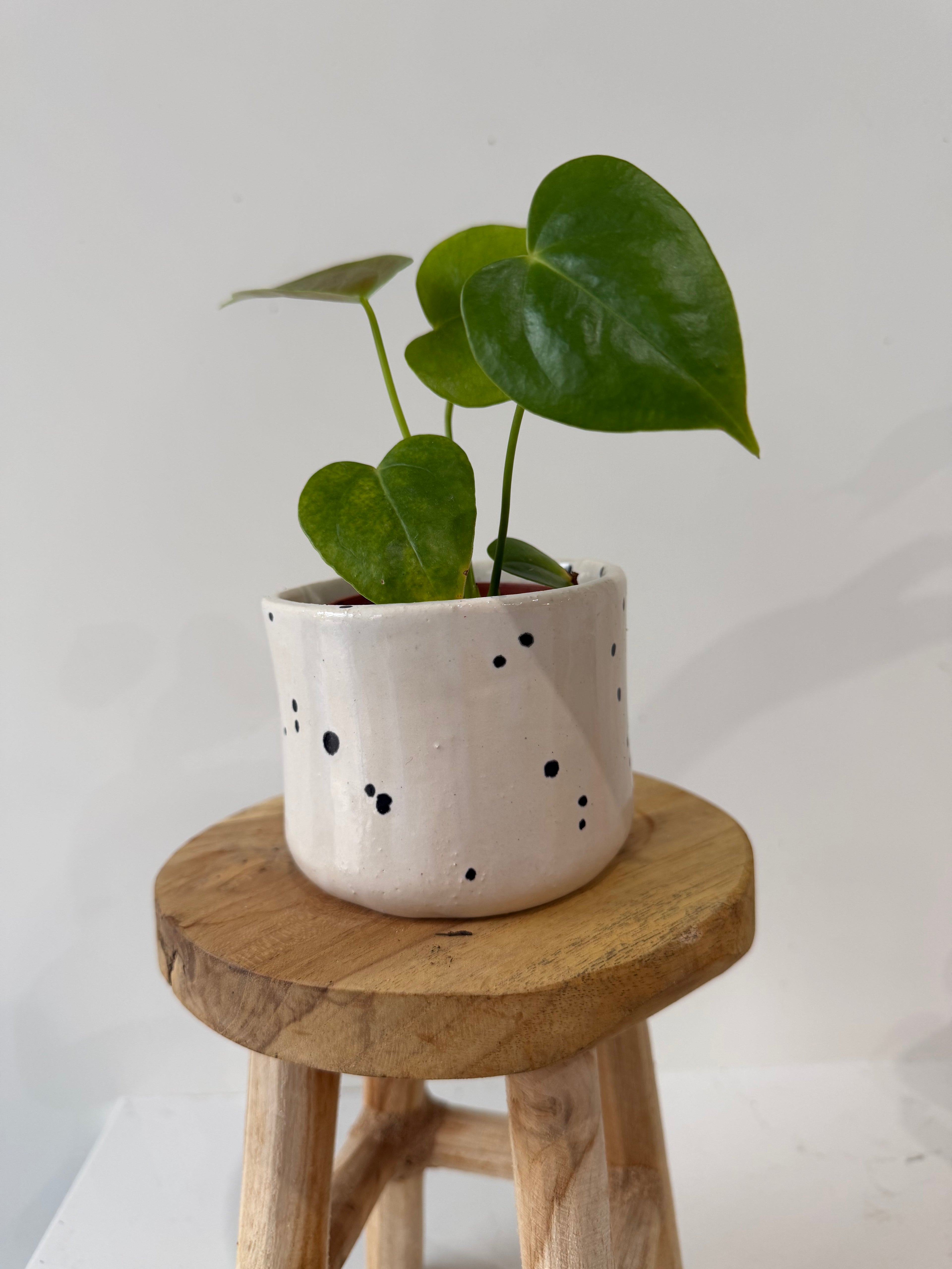 Handmade ceramic pot